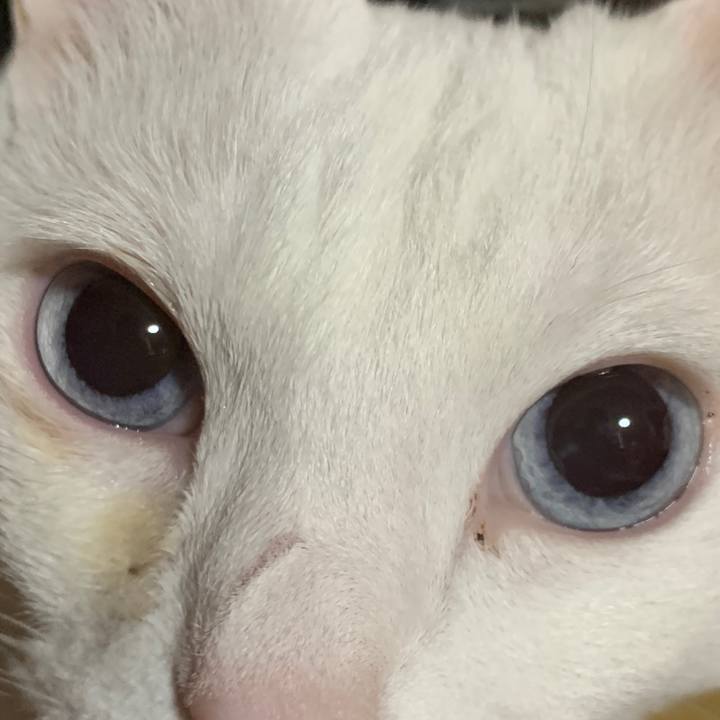 0f096f79 9a6c 4cf5 bbd6 2e1a58daf52f 1651320903633