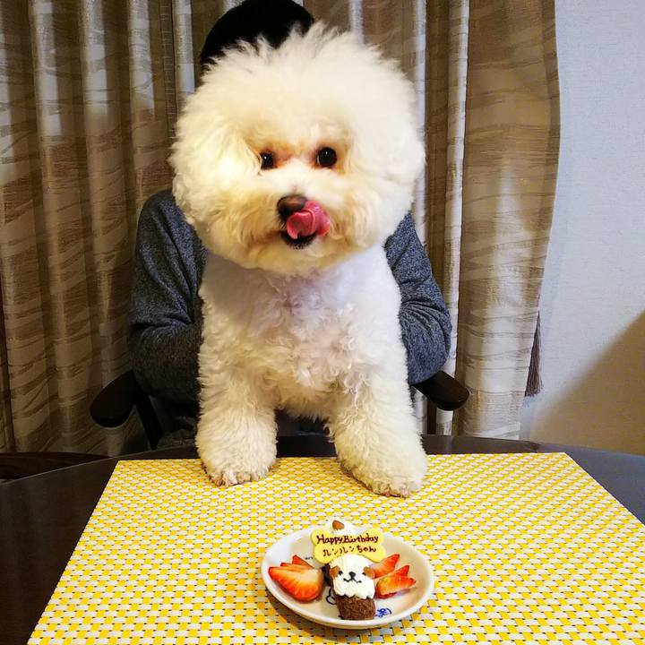 0f097069 38b0 40e9 a9ce 8051c9bfc255 1548931837630