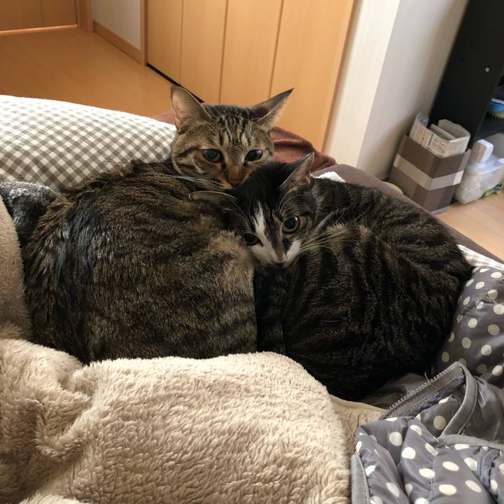 0f0989d8 7283 4f6b 9c0f b532522e866e 1515807713221