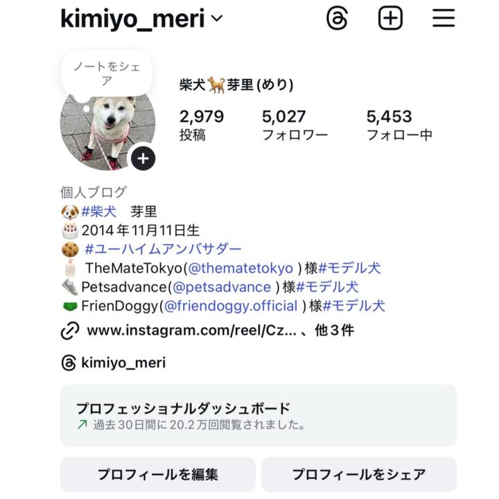 0f09f0c7 5c17 43a5 889e f6dd491899b3 1758149392631