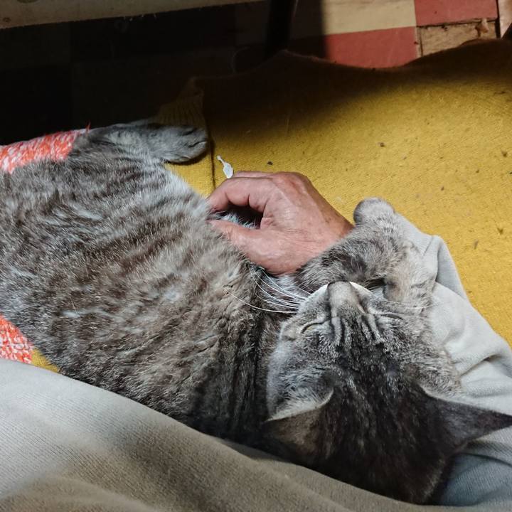 0f0a16f8 088b 4ed7 b65c 73e641b2c0f5 1570793072263