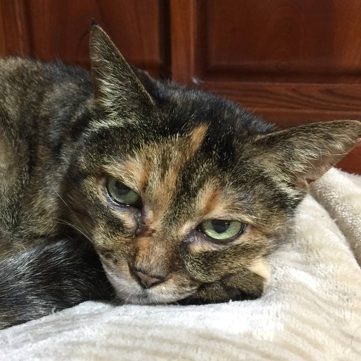 0f0a22e8 f4ed 46f3 b9b7 ceeca97d9510 1628197761893