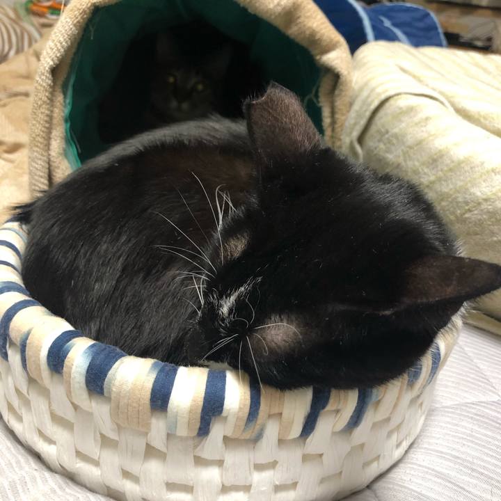 0f0a33c1 be22 4f85 a41c 185676f0924a 1570277501968