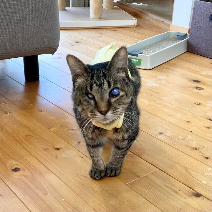 0f0a6f69 ea4b 47d3 8eee ae475cdb8399 1684323293464