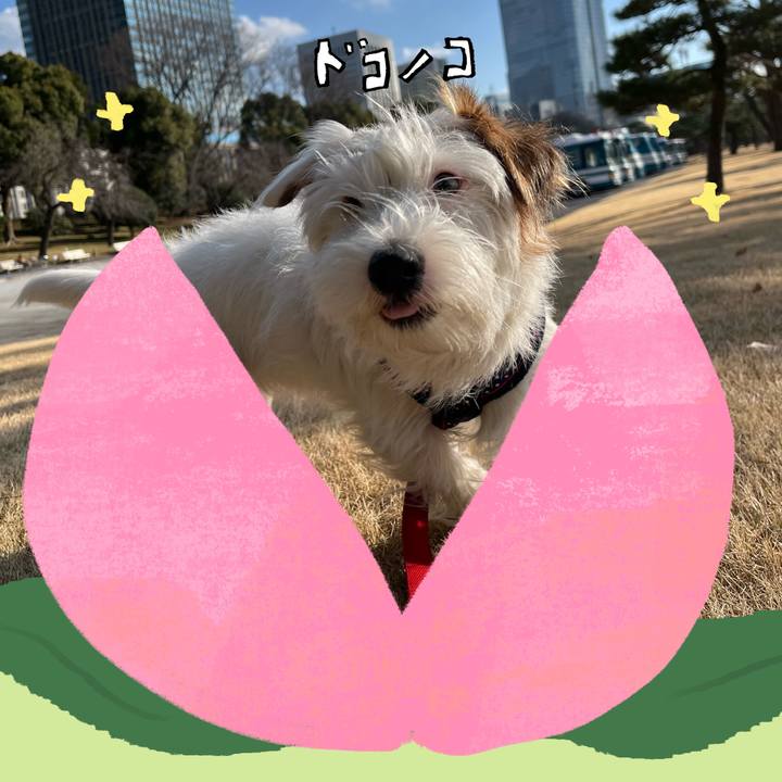 0f0a7814 e819 4d02 816c 6d41da5ffea4 1771856490157