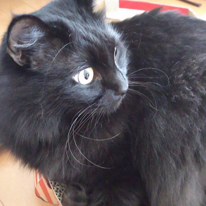 0f0ae653 235a 49e0 92a4 8cf4e894dbde 1541564522149