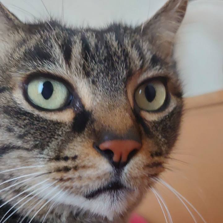 0f0b2e50 d51e 4abc 9b47 2cd0af35b3eb 1641084505300