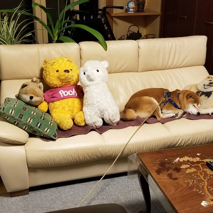 0f0b3e16 1d9f 4b19 b7ac 061f81b705bc 1540822875000