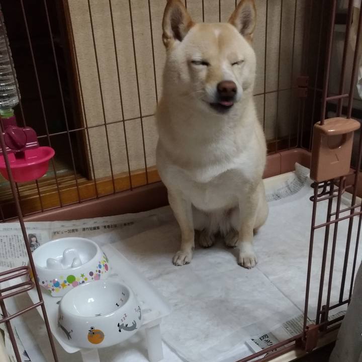 0f0b49a7 4a33 4924 84fc 2be8aa8a0540 1611393221314