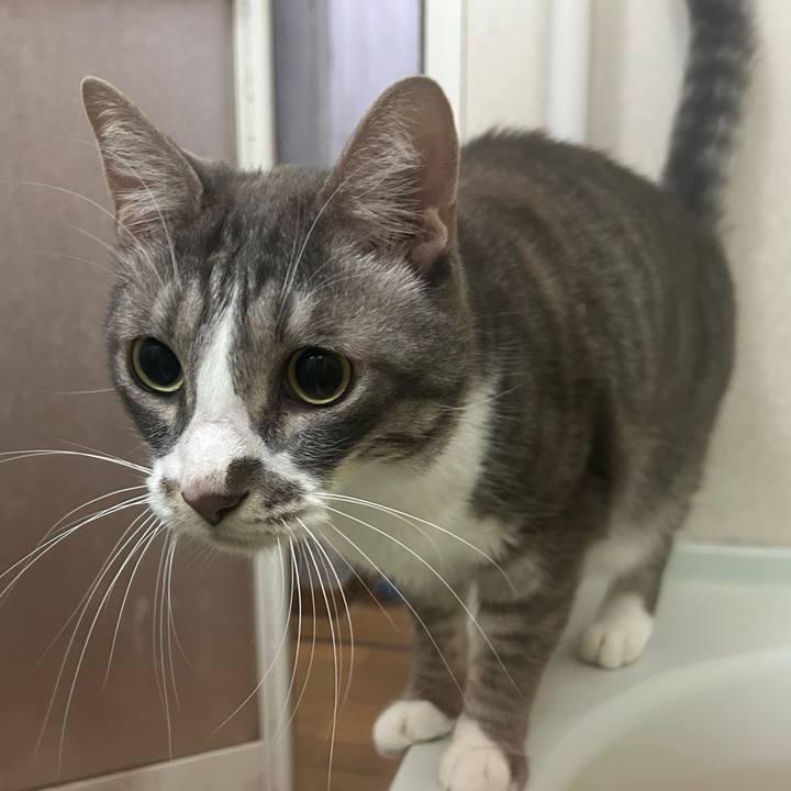 0f0b53f6 05df 4cd4 8790 248ca018a05d 1762005112132