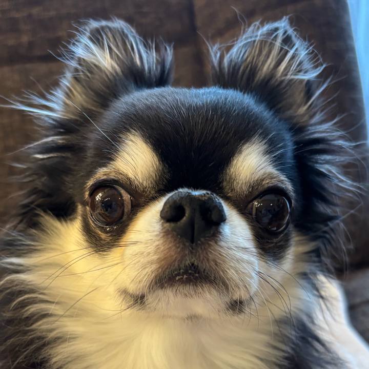 0f0be9ca 1631 4bad 8ab7 9efb67e97254 1762558102227