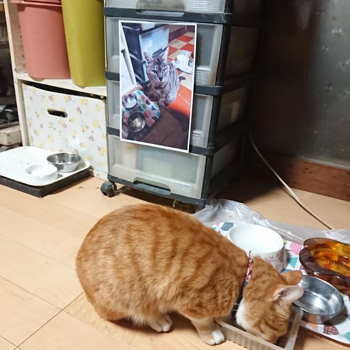 0f0c11a2 44be 4557 b2e7 85c140d6e831 1600550269837