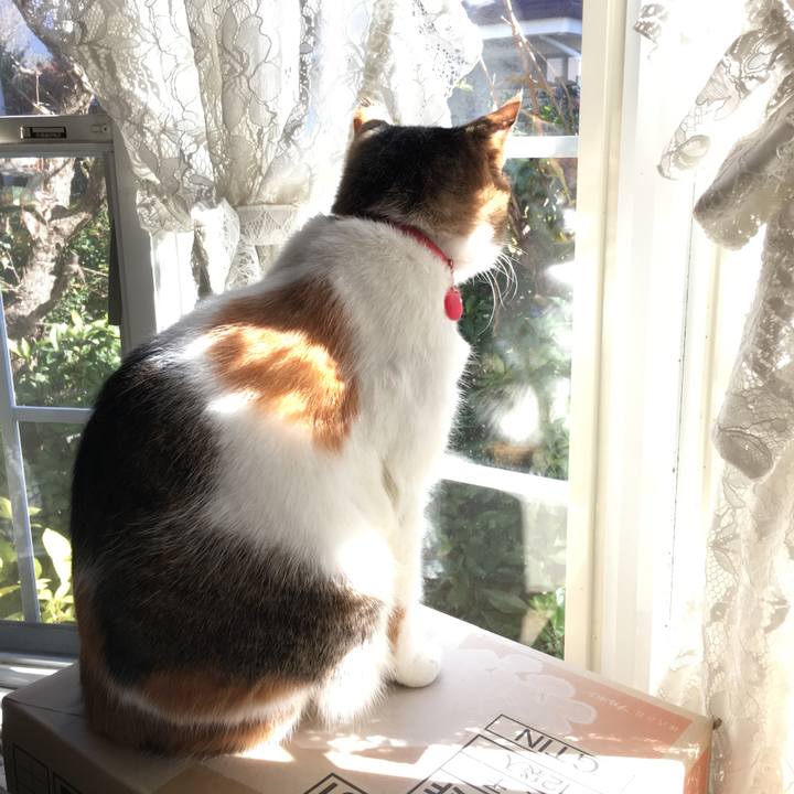 0f0c1420 bde2 4ea4 beda 831779979626 1511061933498