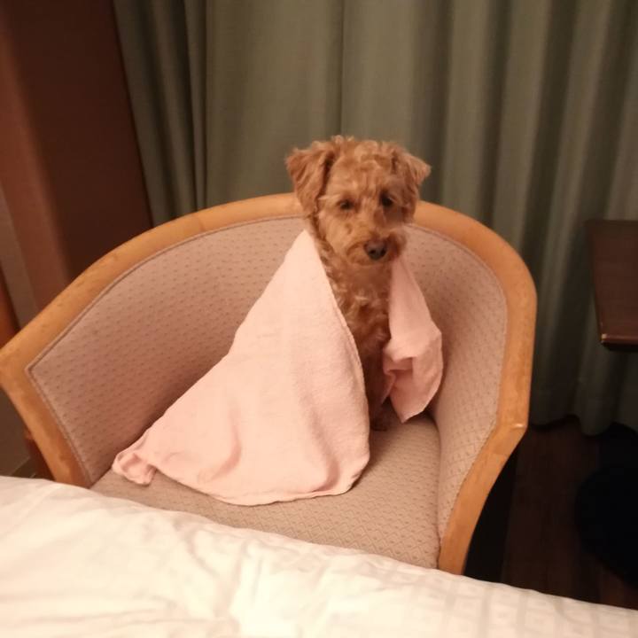 0f0c1517 a865 4749 9340 fbce74cbcb77 1557742782135