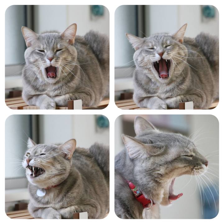 0f0c5ddc 2399 4b99 89b1 3a1bcd739a37 1515759174191