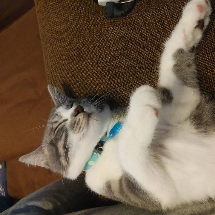 0f0c6177 112a 4588 8b32 0864527ae79f 1565168921584