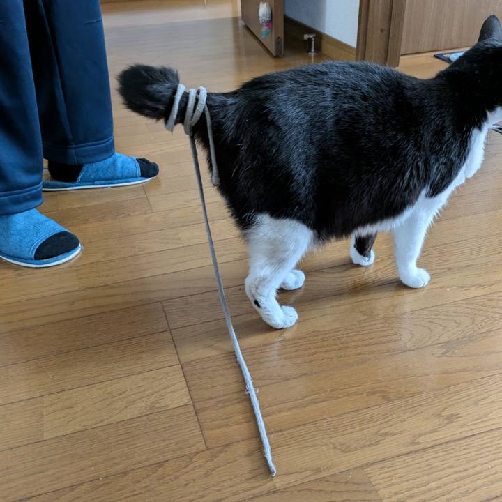 0f0c752b 5da0 4c05 b354 3f15d48be860 1730705566691