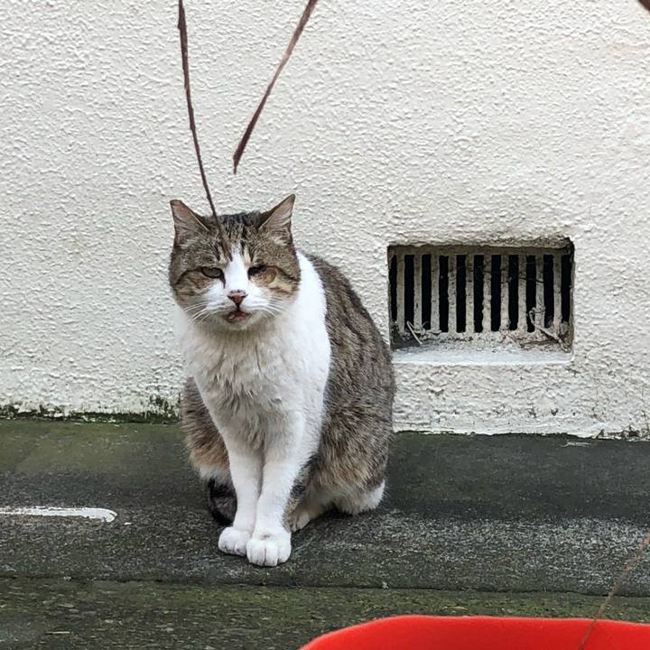 0f0c92f2 069d 4b4f 8ec8 4f0f558529b1 1580974841129