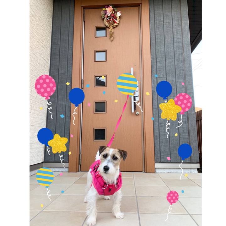 0f0cb373 70d4 4124 acd3 5da0fd7c7c67 1577864557993