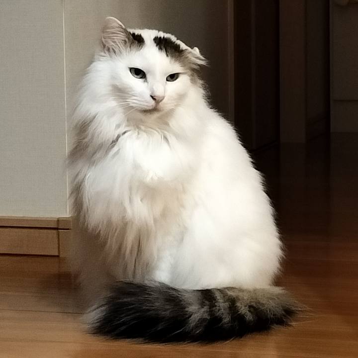 0f0cc043 04cc 41fe aba3 8289cdf6f46b 1773891462587