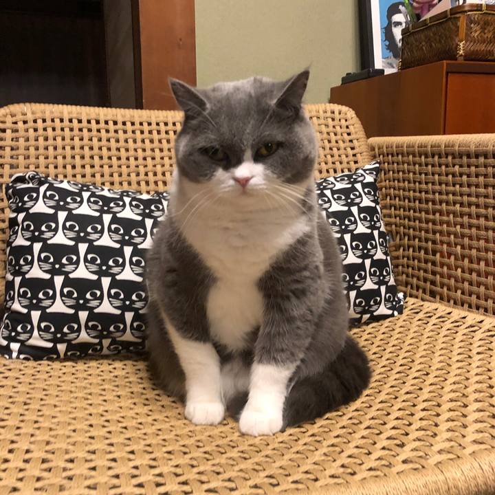 0f0cc40f c242 4907 8bf9 7e97ecfc7e46 1576722771979