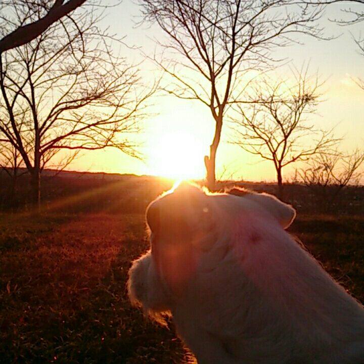 0f0cf9f2 3cbb 4f0b aec5 d5541cdfdcdc 1518479228044