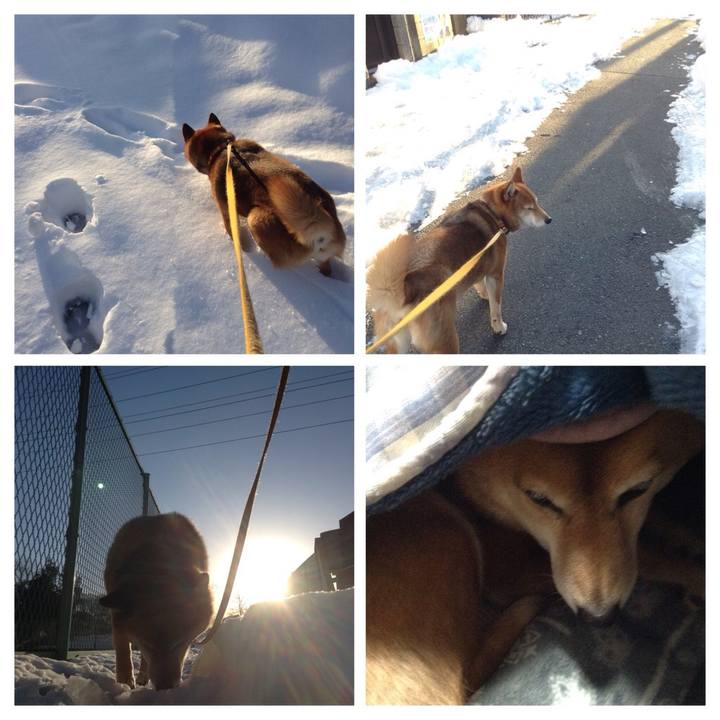 0f0d149f d3c1 4cd2 b7ae d54ac09fa826 1516840521070