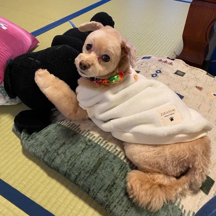 0f0d25e9 ec5d 418a baa9 e57890fb4cbe 1577423738264