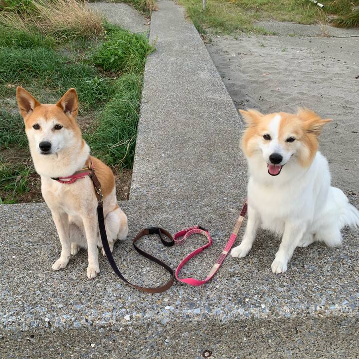 0f0d68e8 ee8b 4508 b4cb c8ff860876ea 1694223900555