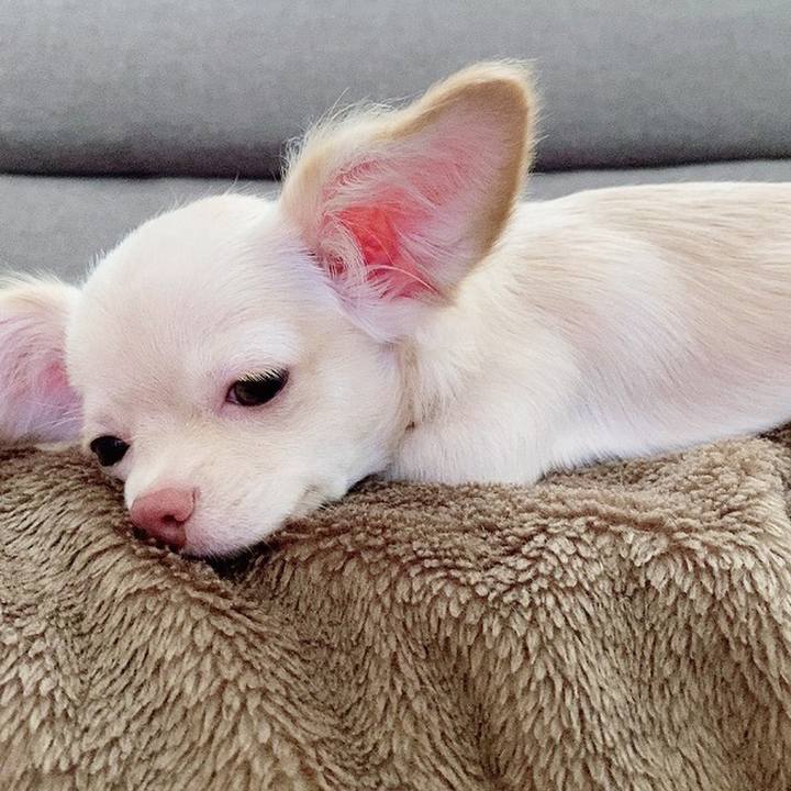 0f0d6d0e af63 485d 99d6 64abcda5b1c8 1594281592234