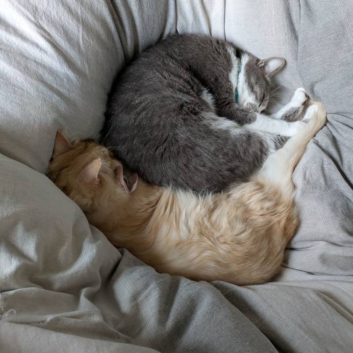 0f0dbe2e 54df 4428 8dba b9f6a4a6fa38 1731717612786