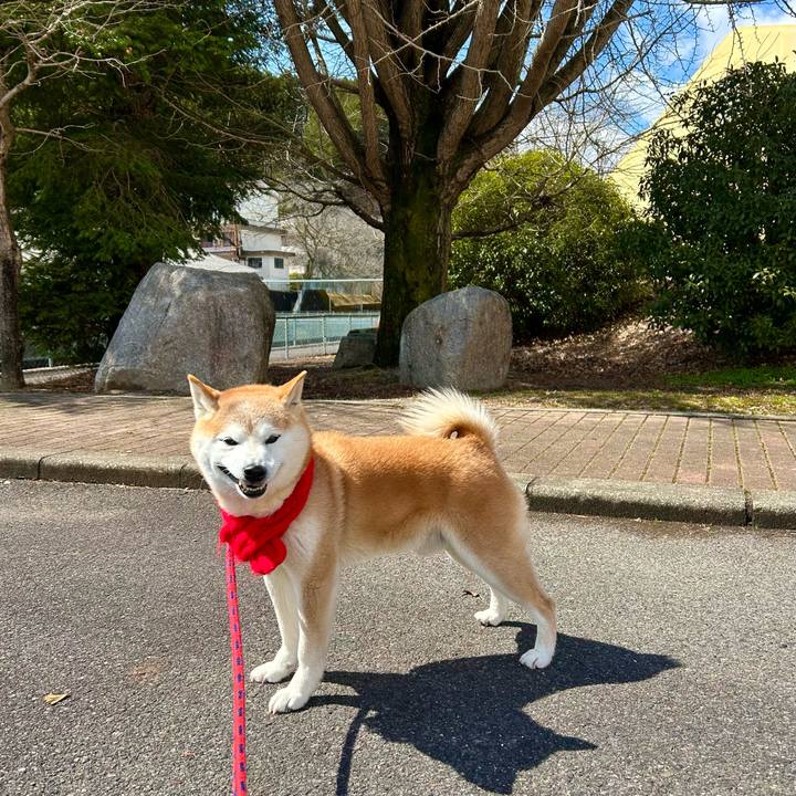 0f0e007f 134b 41c2 a974 98d6f5ac5e90 1742208367614