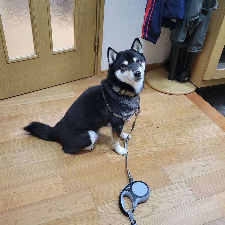 0f0e0f27 3887 44c8 9ef0 63a543d9989d 1762383286624