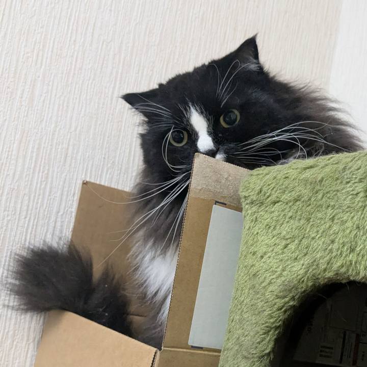 0f0e28d9 30c4 4d0d 9852 127b3fed81f9 1762822295212