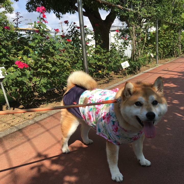 0f0e48c1 80bb 45ff be20 51e2ac5bc5bf 1565482239146