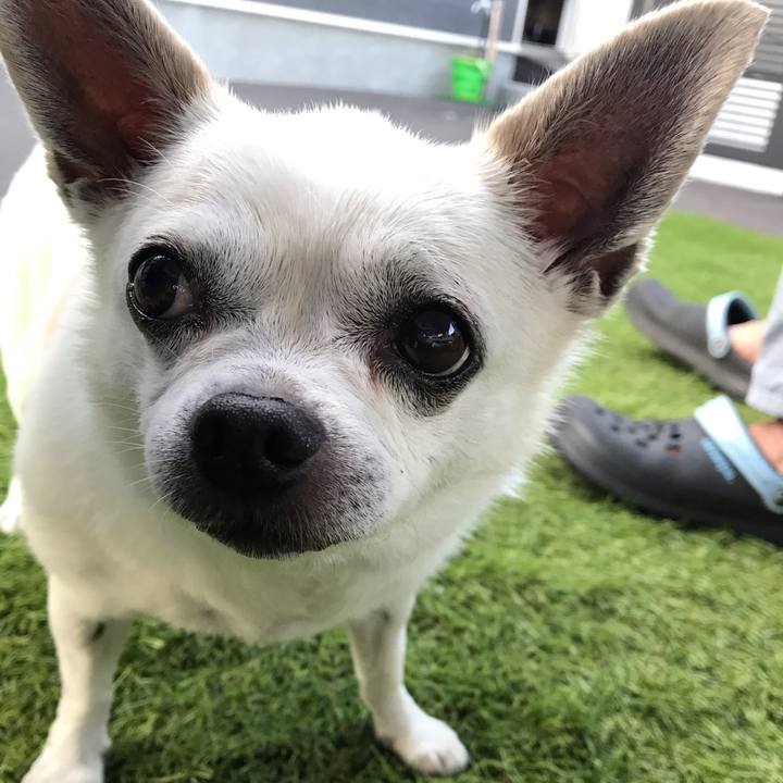 0f0e983c 833d 4c4f 8d22 f566d971278f 1659586012291