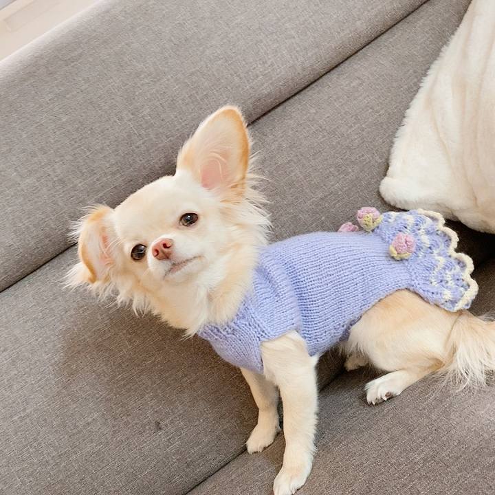 0f0ea5f2 6e76 47ee bb83 c27fe1b7e1c4 1610761709134