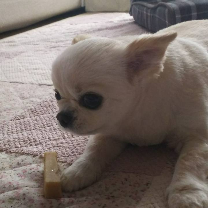 0f0f0ba9 01b1 4956 a8d2 5661b6e29d71 1514524209139