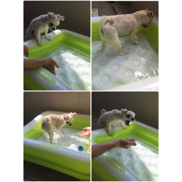 0f0f10f4 2089 4dd0 b85b 1dfb325fba62 1532131930566