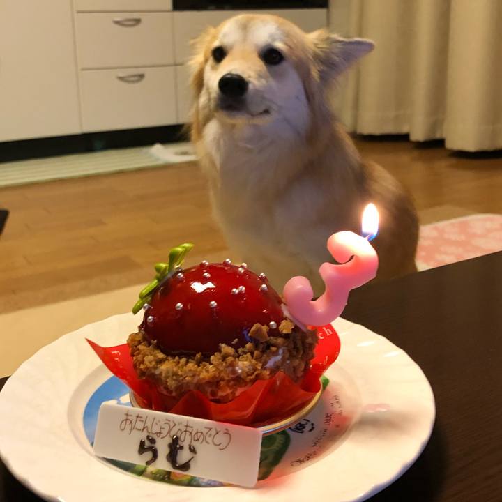 0f0f1eed 15d3 4701 89aa 89d0c3a0a26e 1580725383789