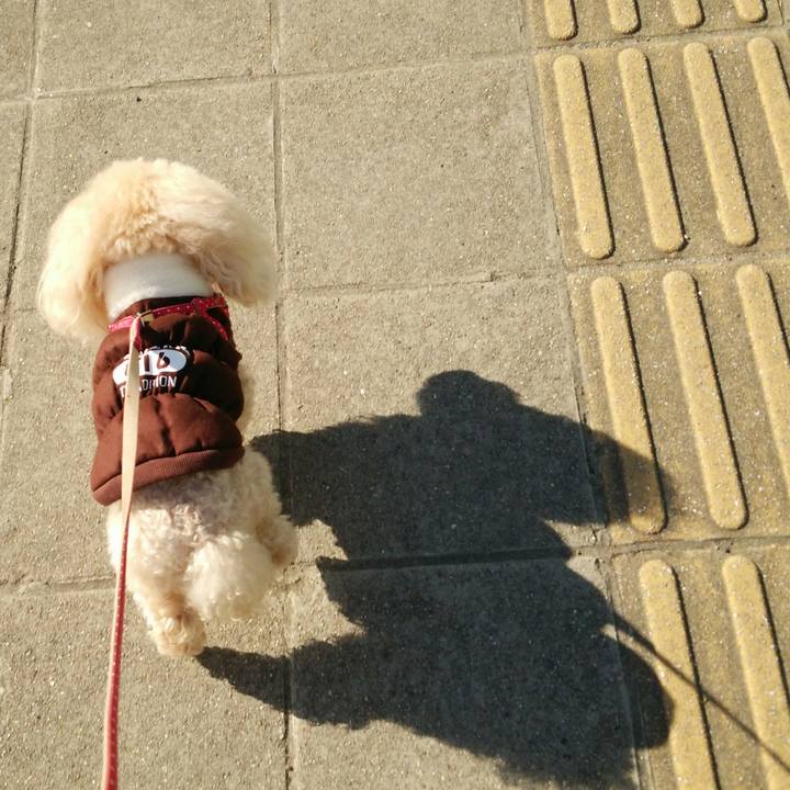 0f0f5a36 b891 4376 91db 5b4d8ea4ee07 1515820537299