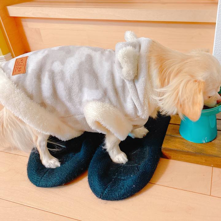 0f0f74e8 ddb4 4ec5 8fcc ecfed51a0ec2 1640660156983