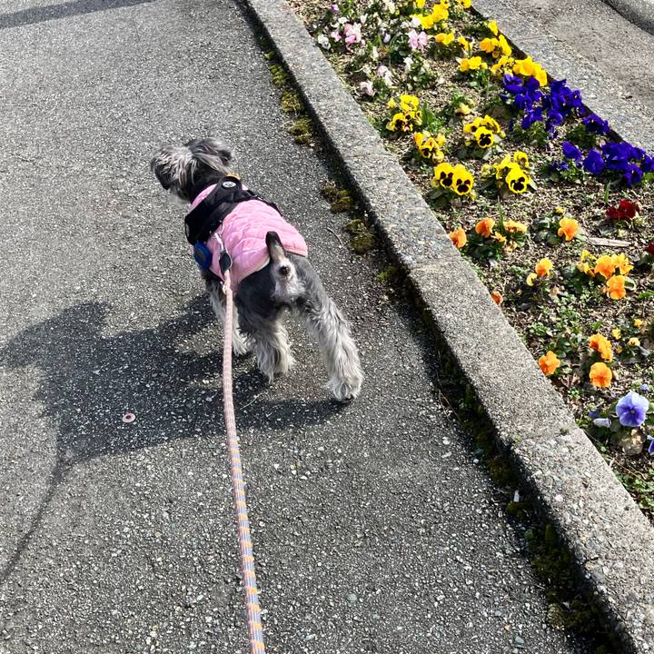 0f0fa9e6 6938 46f8 b423 4fab5a393c5a 1773984074628