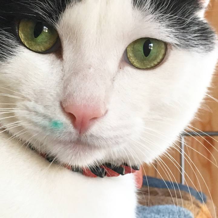 0f0faa25 05cd 4f4b 9be1 f86a2a411ebb 1510707109982