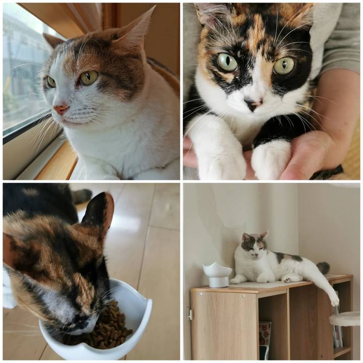 0f0fe9e5 a761 4426 b2f3 93b38e314dde 1666527298711