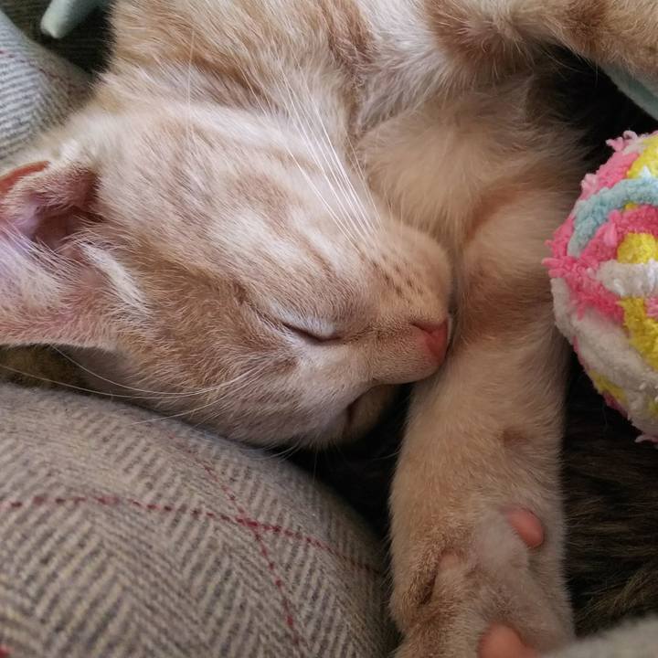 0f0ff308 a048 4cc4 b927 5145f60c9f70 1541221460422