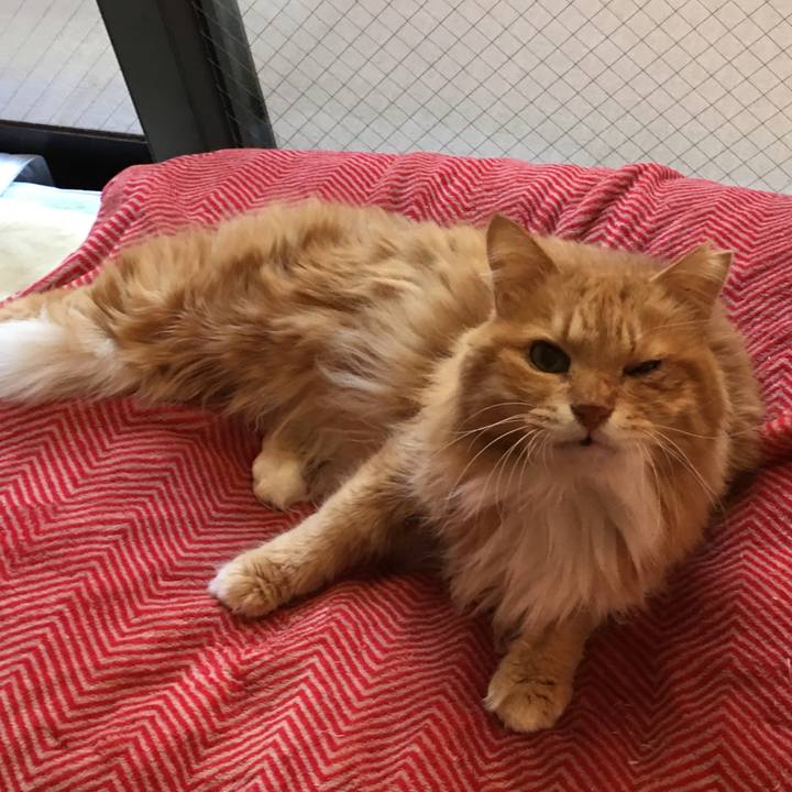 0f10254e 09fa 4156 ae4c 60c71a7319d7 1512731922179