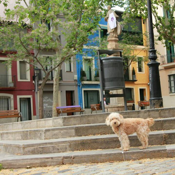 0f102588 ce5f 4c5f 85fa 3cc894e4bc9f 1588263998118