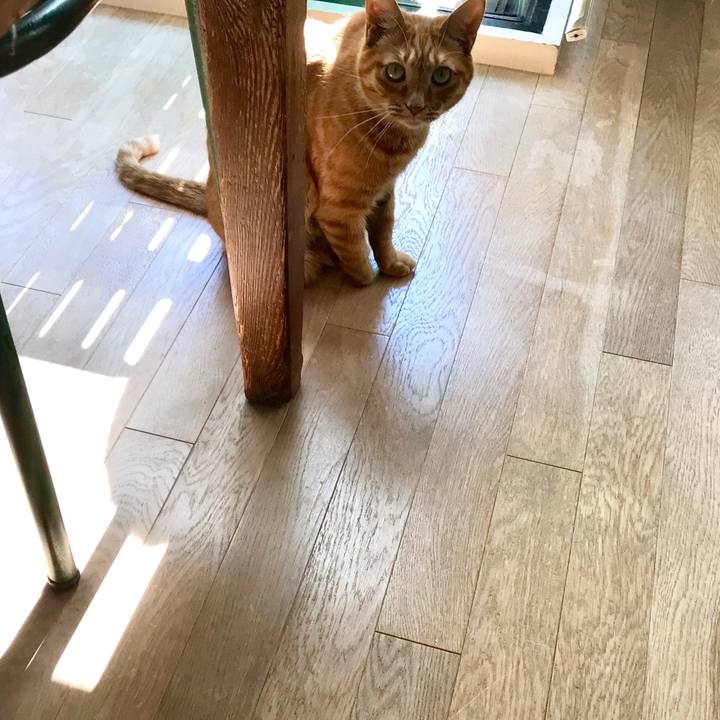 0f1040c5 f128 487b 8b76 3f14c958a6f9 1515220900670