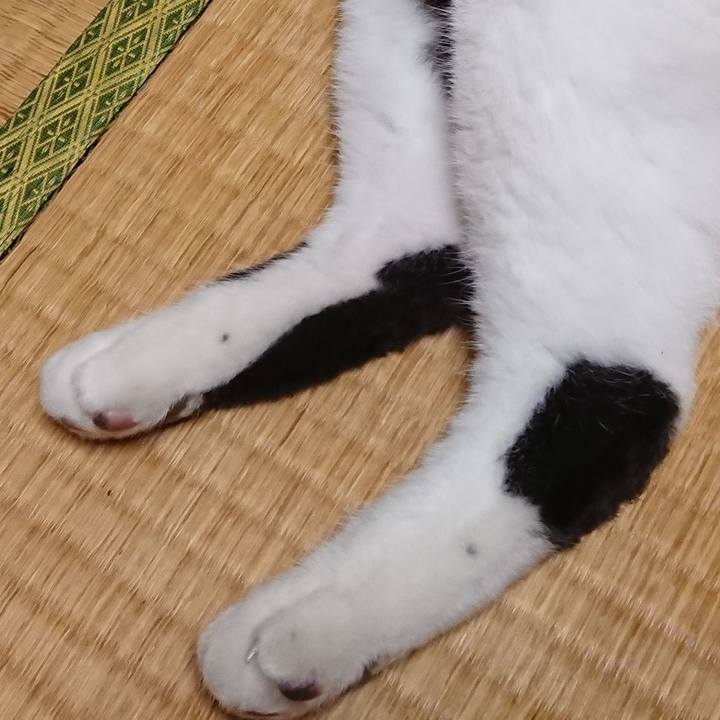 0f106ea9 f7c5 450f a8c5 6e8aeda15fb8 1600300448747